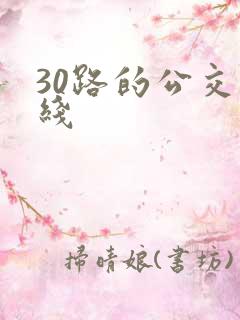 30路的公交路线
