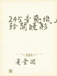 245章飞机上干关晓彤