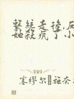 系统走后,反派她杀疯了小说