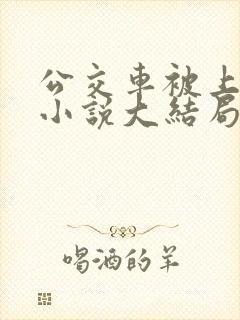 公交车被上高潮小说大结局