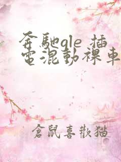 奔驰gle 插电混动裸车价