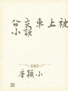 公交车上被嗯啊小说