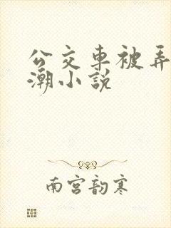 公交车被弄到高潮小说