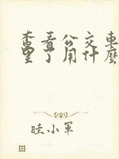 查看公交车到哪里了用什么软件