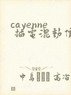 cayenne 插电混动价格多少
