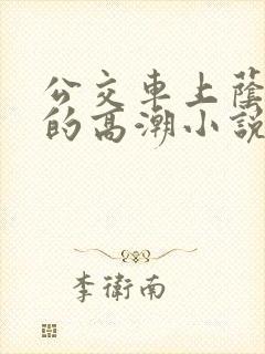 公交车上荫蒂添的高潮小说