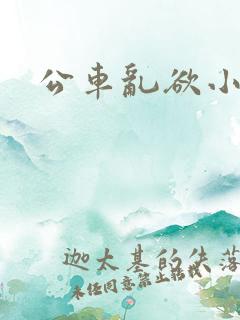 公车乱欲小说