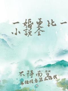 一婚更比一婚高小说全