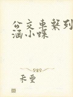 公交车系列之诗涵小蝶