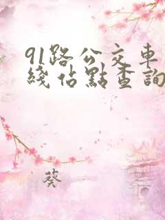 91路公交车路线站点查询表