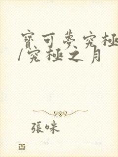 宝可梦究极之日/究极之月