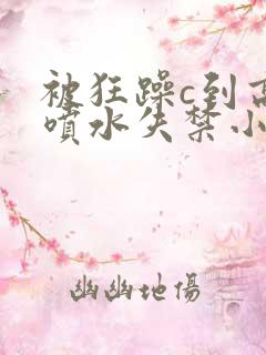 被狂躁c到高潮喷水失禁小说