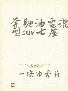 奔驰油电混合车型suv七座