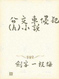 公交车侵犯男人(h)小说