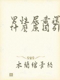 男性尿黄还疼是什么原因引起的