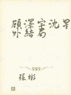 顾泽宇沈星晚番外结局