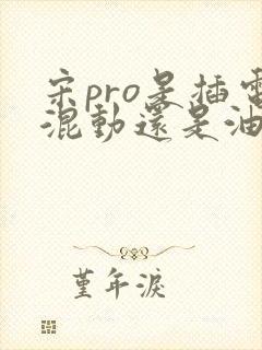 宋pro是插电混动还是油电混动
