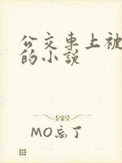 公交车上被进入的小说