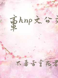高hnp文公交车
