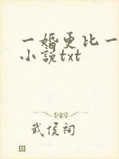 一婚更比一婚高小说txt