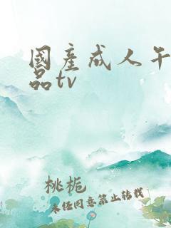 国产成人午夜精品tv