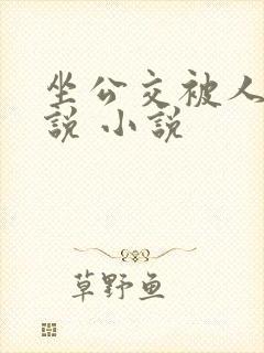 坐公交被人弄小说 小说