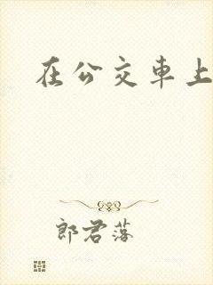 在公交车上h