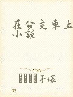 在公交车上被摸小说