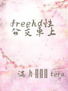 freehd性公交车上