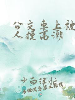 公交车上被陌生人摸高潮