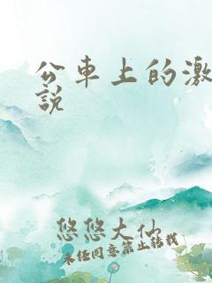 公车上的激情小说