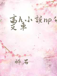 高h小说np公交车