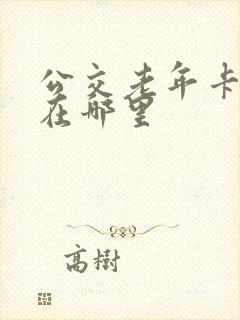 公交老年卡年检在哪里