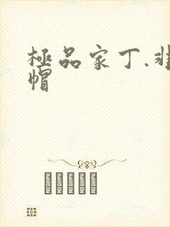 极品家丁.非绿帽