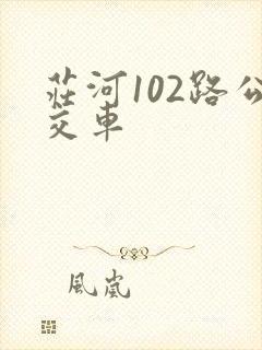 庄河102路公交车