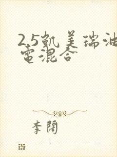 2.5凯美瑞油电混合