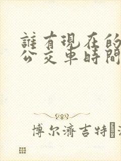 谁有现在的乡镇公交车时间表?