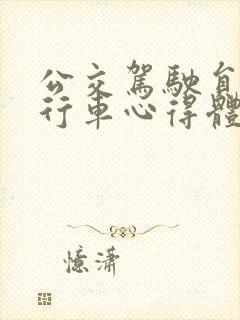 公交驾驶员安全行车心得体会500字