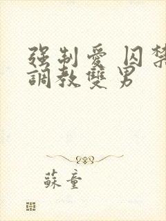 强制爱 囚禁 调教双男