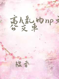 高h乱肉np文公交车