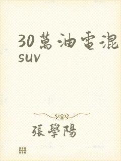 30万油电混合suv