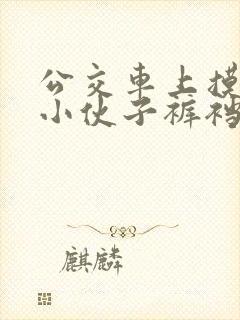 公交车上摸直男小伙子裤裆小说
