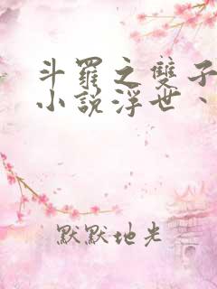 斗罗之双子斗罗小说浮世丶