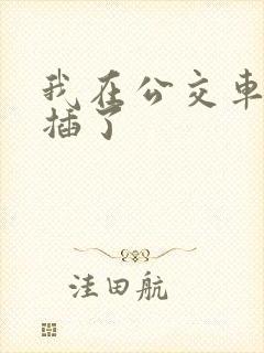 我在公交车上被插了