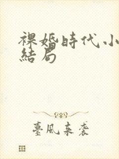 裸婚时代小说版结局