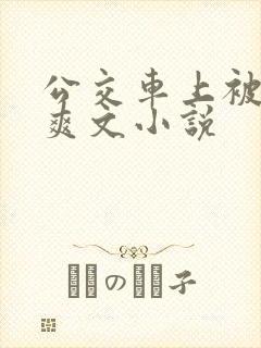 公交车上被强上爽文小说