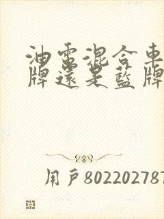 油电混合车是绿牌还是蓝牌