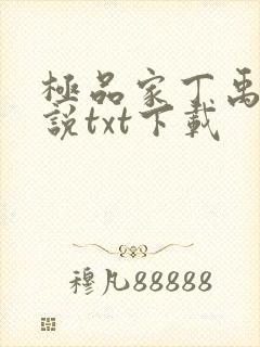 极品家丁禹岩小说txt下载