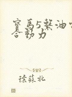 宝马5系油电混合动力
