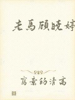 老马顾晓婷小说